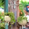 Happy Leggy Planter